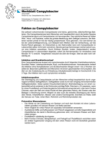 Merkblatt „Campylobacter“ - Kantonales Labor Zürich