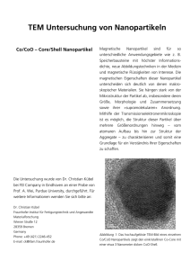 Nanopartikel (PDF ca. 500KB)