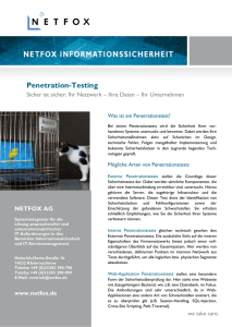 Flyer Penetration Testing PDF