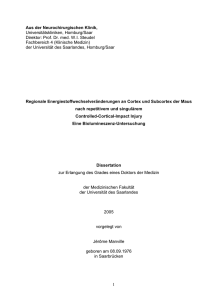 Dokument 1 - SciDok - Universität des Saarlandes