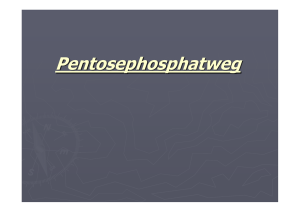 Pentosephosphatweg - Biochemie Trainingscamp