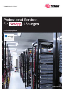 Professional Services für NetApp - Lösungen