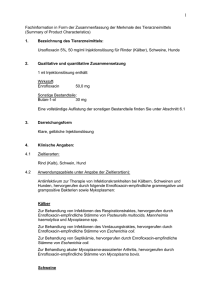 Ursofloxacin 5% - Serumwerk Bernburg AG