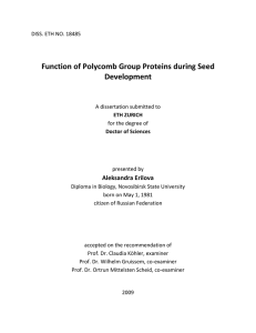 Function of Polycomb Group Proteins during - ETH E