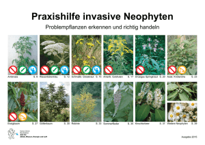 Praxishilfe invasive Neophyten