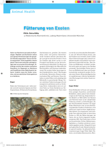 Fütterung von Exoten - Medizinische Kleintierklinik