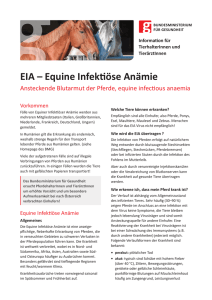 EIA - Equine Infektiöse Anämie