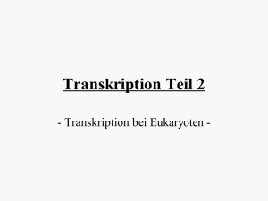 Transkription Teil 2