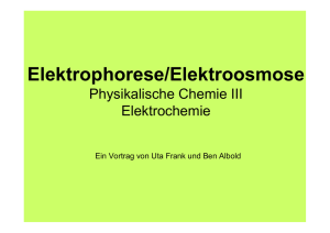 Elektrophorese/Elektroosmose