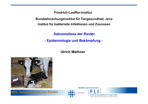 Salmonellose der Rinder - Landesamt für Verbraucherschutz