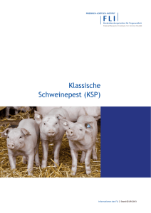 Informationen des FLI: Klassische Schweinepest, Stand 02.09.2013