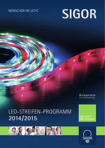 LED-StrEifEn-Programm