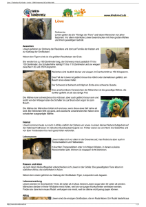 Löwe | Tierlexikon für Kinder - Archiv | SWR Kindernetz OLI`s Wilde