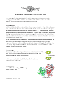 Bachelorarbeit / Masterarbeit: Fusion and fission genes