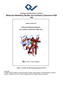 Molecular Modelling Studien am humanen Cytochrom P450 1A2