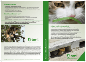 Infoblatt Katzenkastration - Bund gegen Missbrauch der Tiere