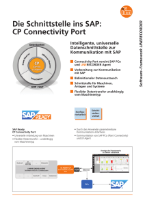 Die Schnittstelle ins SAP: CP Connectivity Port