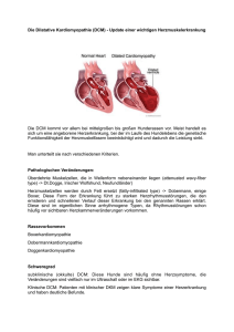 Die dilatative Kardiomyopathie