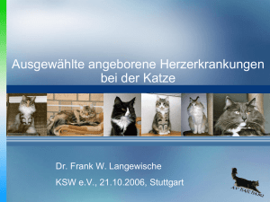 2006_10_21_KSW_Vortrag_Herzmißbildungen.