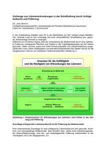 Gesundheitsmanagement (PDF 137 KB)