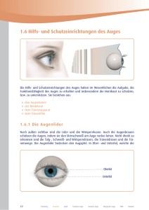 1.6 Hilfs- und Schutzeinrichtungen des Auges
