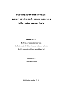 Inter-kingdom communication: quorum sensing and quorum