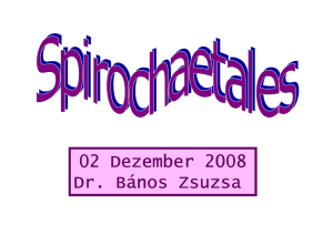 02 Dezember 2008 Dr. Bános Zsuzsa nos Zsuzsa