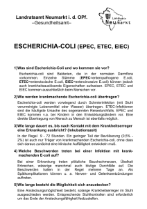 escherichia-coli (epec, etec, eiec)