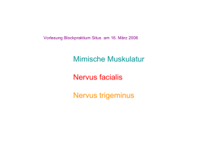 Mimische Muskulatur Nervus facialis Nervus trigeminus