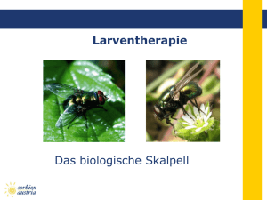 Larventherapie - Sorbion Austria