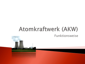 Atomkraftwerk (AKW)