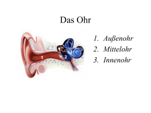 Das Ohr - schule.at