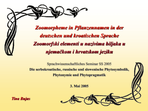 Zoomorpheme in deutschen Pflanzennamen