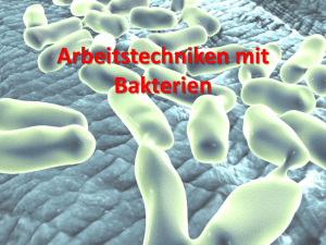 Arbeitstechniken mit Bakterien - Schulen