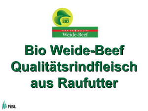 Bio Weide-Beef
