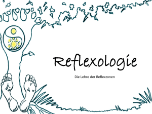 Reflexologie Unterlagen