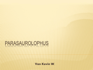 Parasaurolophus - Schule Lostorf