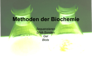 Methoden der Biochemie