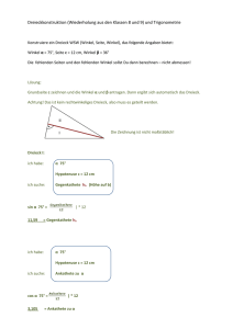 Dreieckkonstruktion (Wiederholung aus den Klassen 8 und 9) und