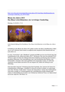 Blume des Jahres 2013 Das Blaue Leberblümchen: ein vorwitziger