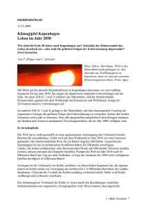 17.12.2009 Klimagipfel Kopenhagen Leben im Jahr 2050 Wie sieht