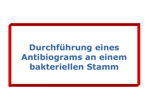 Durchführung eines Antibiograms an einem bakteriellen Stamm