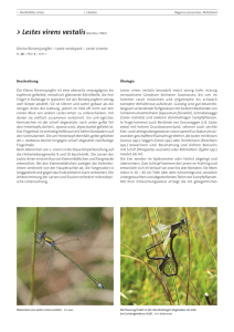 Merkblätter Arten – Libellen – Lestes virens vestalis | BàT (1306)