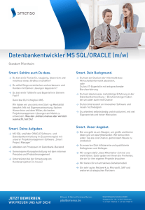 Datenbankentwickler MS SQL/ORACLE (m/w)