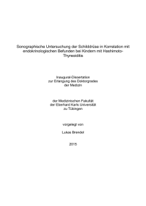 Doktorarbeit Lukas Brendel pdf