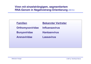 Viren mit einzelsträngigem, segmentiertem RNA
