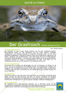 Der Grasfrosch - Naturpark Ötztal