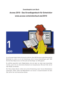 1 ADO - Access Entwicklerbuch