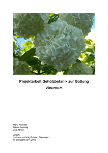 Gehölzbotanik Viburnum 2012 - Justus-Von-Liebig