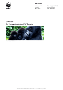 Gorillas - WWF Panda Club